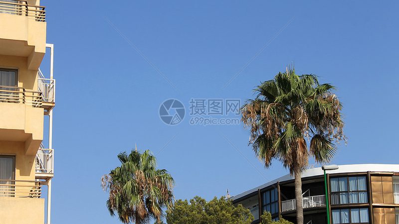 北京军事拓展训练营：揭秘专业训练流程